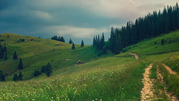 Verão paisagem de montanha — Fotografia de Stock