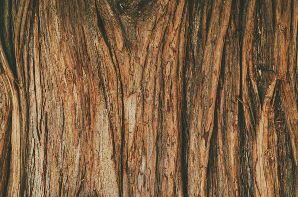 Текстура поверхности дерева — стоковое фото