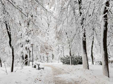 Kış Şehir Parkı
