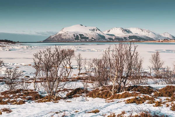 Inverno Noruega paisagem — Fotografia de Stock