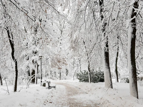 Winter city park — Stock Photo, Image