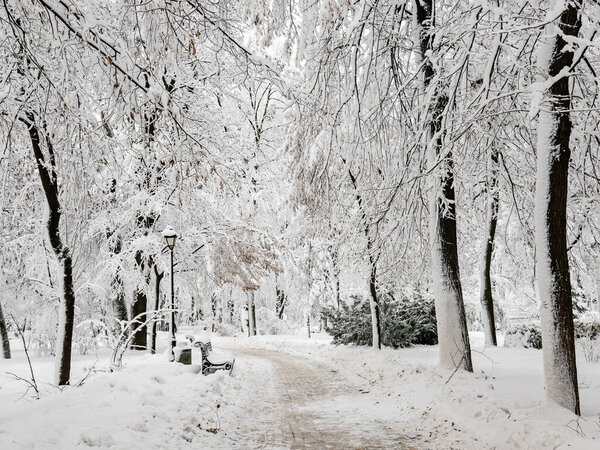 Amazing fairytale winter city park covered with snow, Christmas seasonal background. Mariinsky park in Kiev, Ukraine.