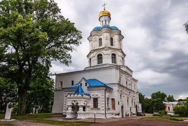 Building of Collegium — Stock Photo, Image