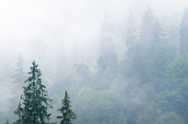 Sisli dağ manzarası