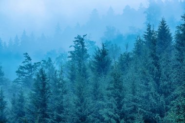 Sisli dağ manzarası