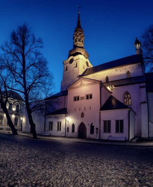 St. Mary Katedrali