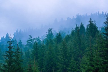 Sisli dağ manzarası