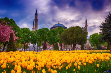 İstanbul 'daki Mavi Cami