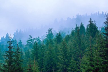 Sisli dağ manzarası