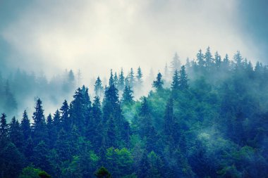 Sisli dağ manzarası