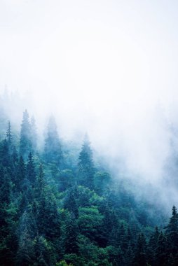 Sisli dağ manzarası