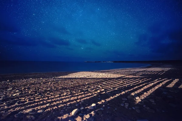 Cipro notte stellata — Foto Stock