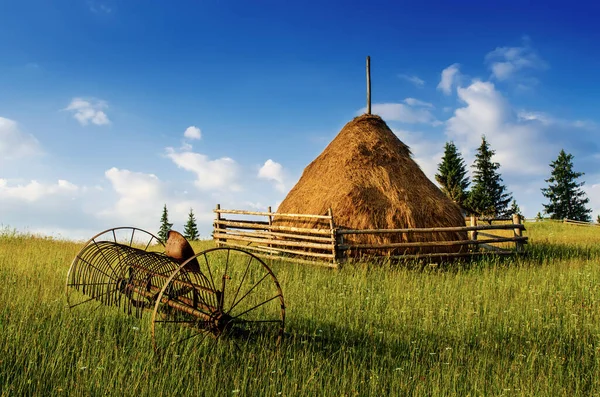 Karpaten berglandschap — Stockfoto