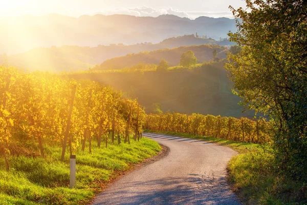 Slowenische und Österreichische Weinstraße — Stockfoto