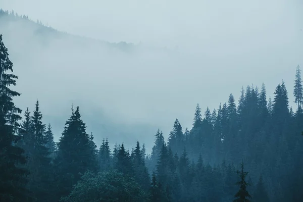Nebelige Berglandschaft — Stockfoto