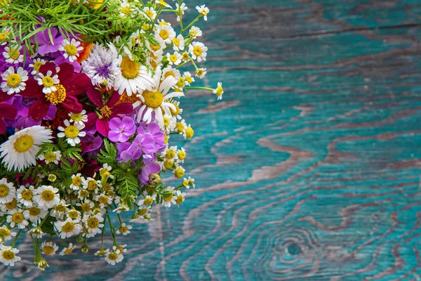 Diseño de flores de verano — Foto de Stock