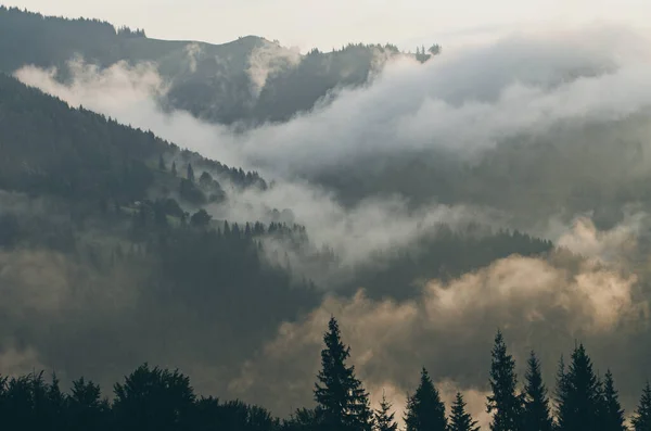 Туманный утренний пейзаж — стоковое фото