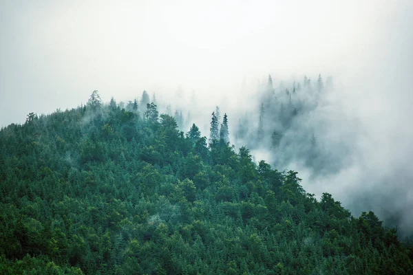 Misty paisaje de montaña — Foto de Stock