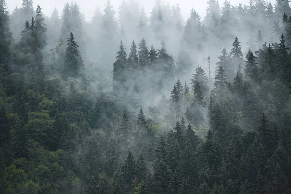 Misty mountain landscape — Stock Photo, Image