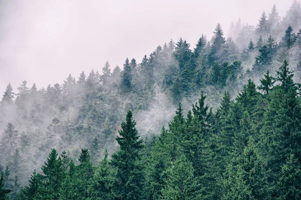 Nebelige Berglandschaft — Stockfoto