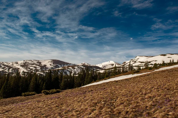 Montagnes avec neige — Photo