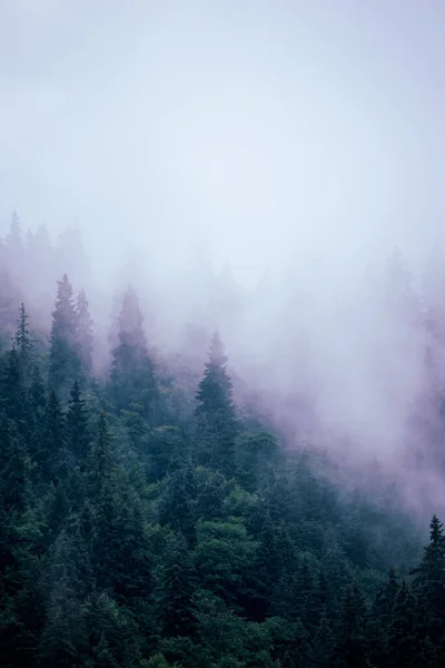 Paesaggio di montagna nebbioso — Foto Stock