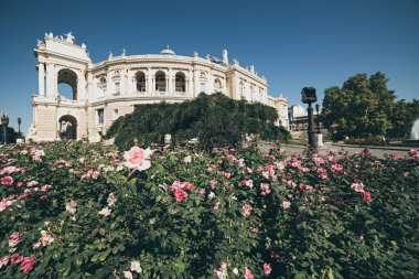 Odessa 'daki opera binası.