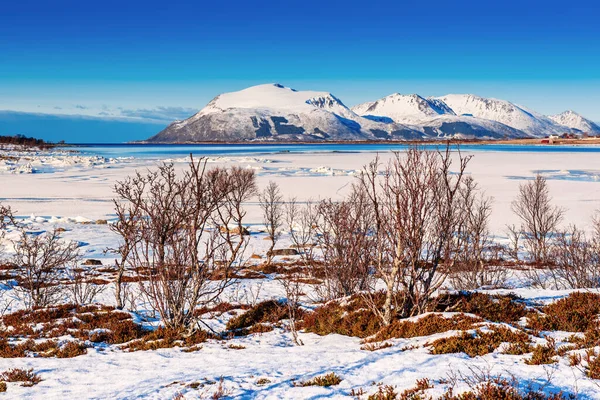 Kış Norveç manzarası — Stok fotoğraf