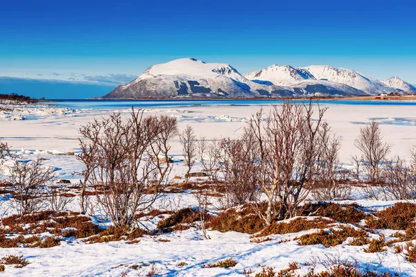 Inverno Norvegia paesaggio — Foto Stock