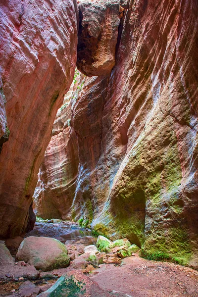 The Avakas canyon — Stock Photo, Image