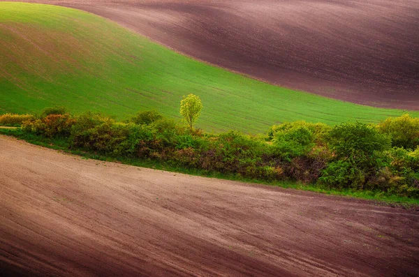 시골의 봄 풍경 — 스톡 사진