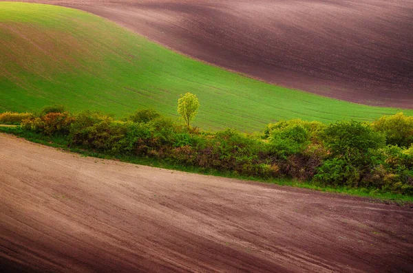 Paisaje rural de primavera — Foto de Stock