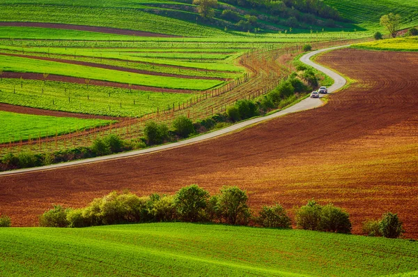 Paisagem rural com estrada — Fotografia de Stock