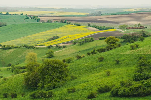 Ländliche Frühlingslandschaft — Stockfoto