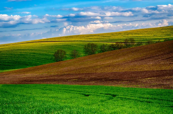 Wiosenny krajobraz obszarów wiejskich — Zdjęcie stockowe