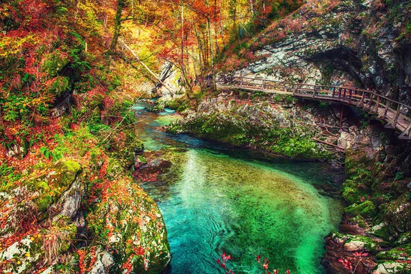 Gorge de Vintgar, Slovénie — Photo