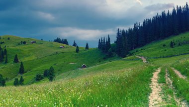 Yaz dağı manzarası