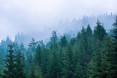 Sisli dağ manzarası