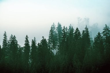 Sisli dağ manzarası