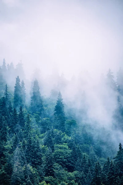 Misty paisaje de montaña — Foto de Stock