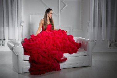 Young beautiful brunette posing in the studio