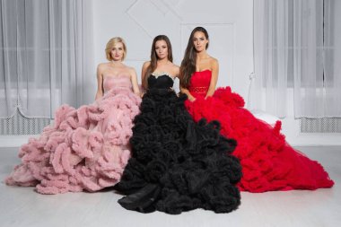 Stüdyoda poz veren üç sevimli kız arkadaş.