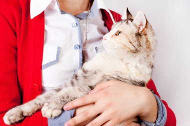 Bir genç kızın elinde Benekli kedi