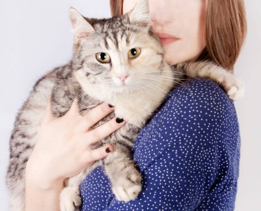 Bir genç kızın elinde Benekli kedi