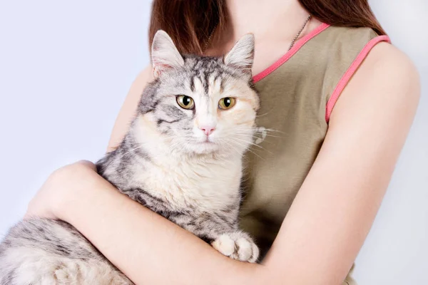 Spotted cat in the hands of a teenage girl — Stock Photo, Image