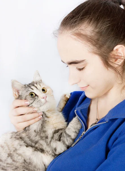 Gatto macchiato nelle mani di una ragazza adolescente — Foto Stock