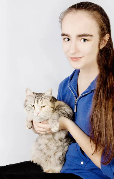 Egy tizenéves lány kezében tarka macska — Stock Fotó