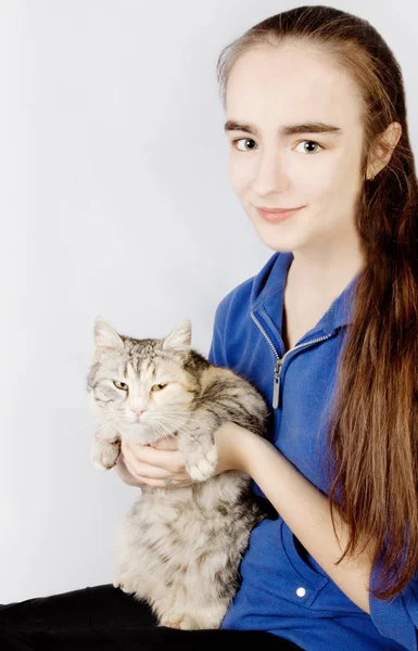 Spotted cat in the hands of a teenage girl — Stock Photo, Image