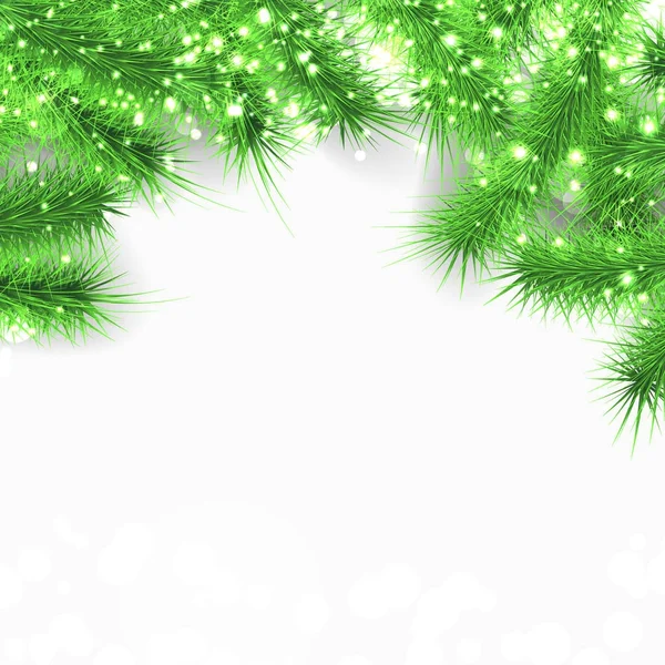 Fir tree layout background — Stock Vector