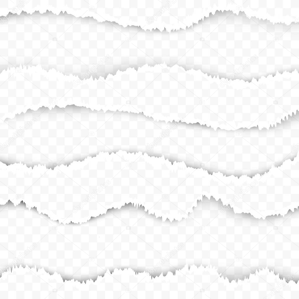 Torn ripped paper transparent background template. Easy to apply layouts image divider in web graphic design. Page texture with teared border lines. Vector illustration